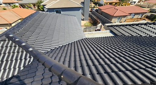Roof Painting
